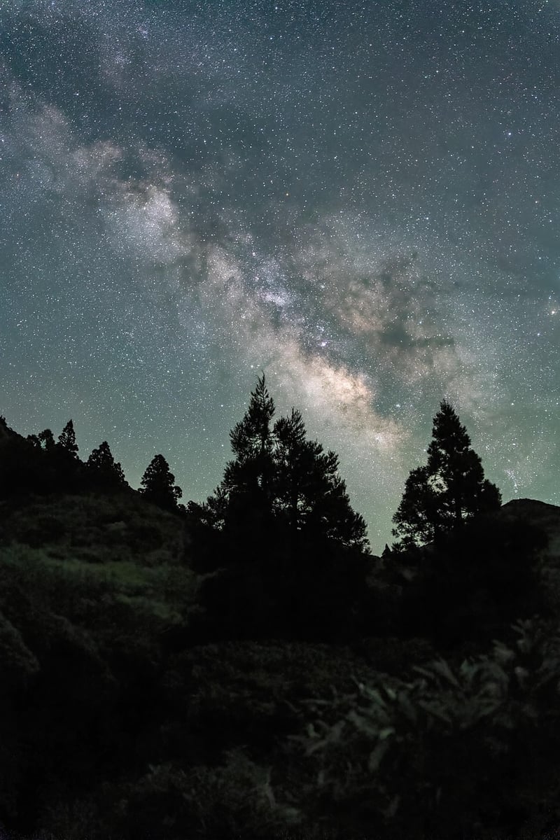 Milky Way Banquet